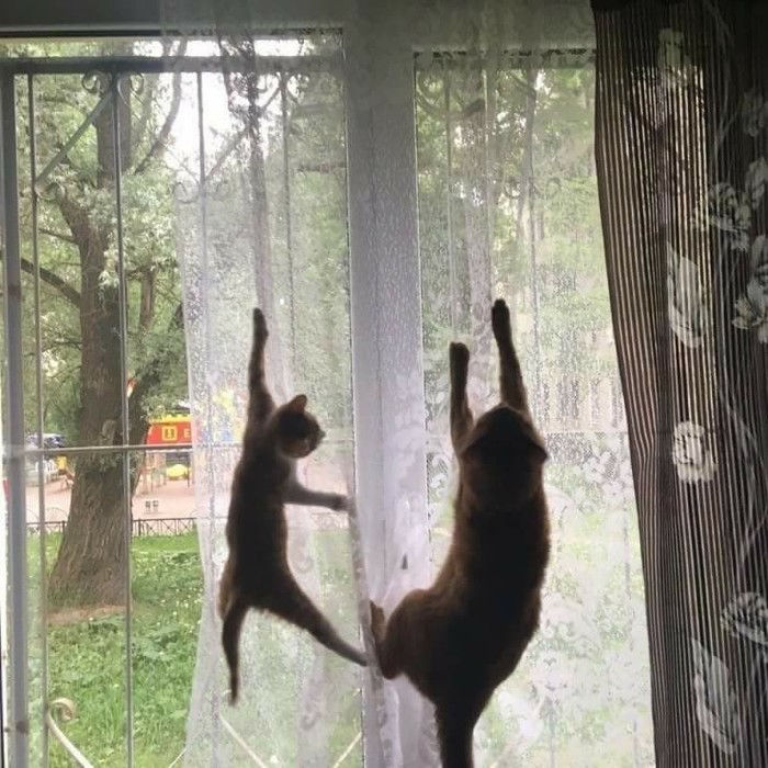      , ,   , 