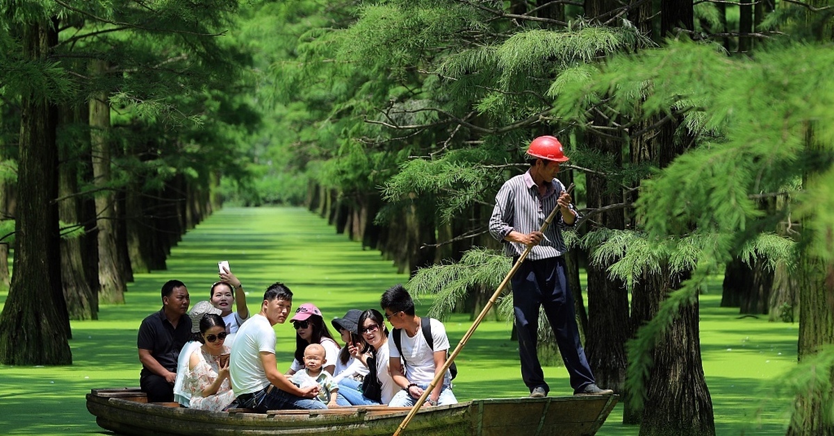 Туристы плыли по озеру. Водный Лесной парк Личжун Китай. Водно болотный парк Китай. Китайцы на природе. Парк на воде в Китае.