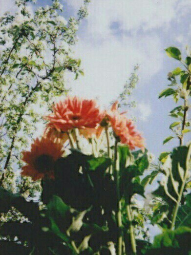 ����� ������������