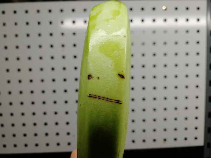       , ,  , 