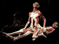 Plastination - insanity or art? - Plastination, Mummy, , Exhibition, , Dead body, Longpost, GГјnther von Haggens