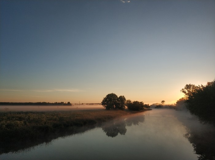 Summer dawn - My, Summer, dawn, German Shepherd, Nature, Walk, Longpost