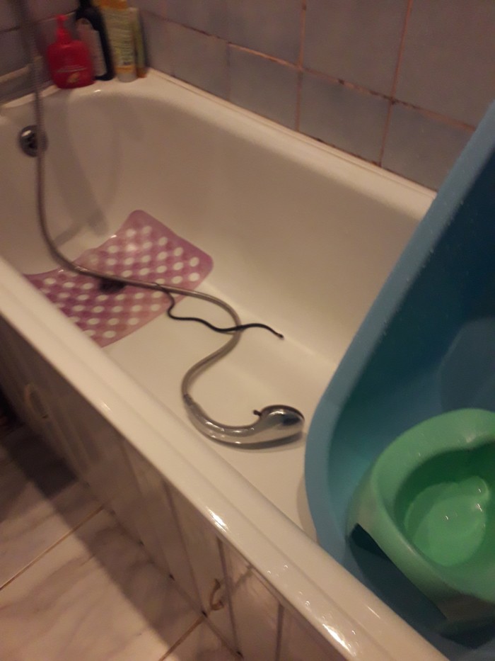 The snake in the bathroom - My, Snake, Already, Bath, Panic