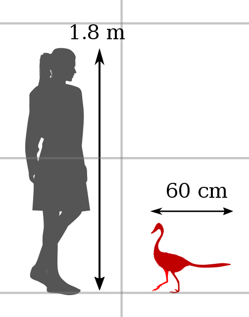 Cretaceous Dino Duck Halschiraptor - Paleontology, The science, Dinosaurs, Evolution, Convergence, Copy-paste, Longpost, Paleoart