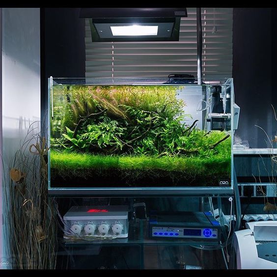 Травник с дозатором удобрений