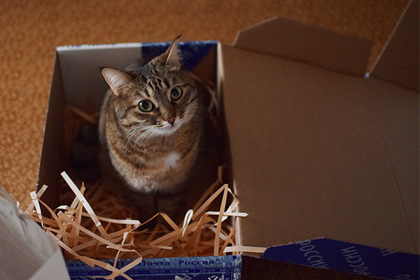 ������ �������� ����� ������