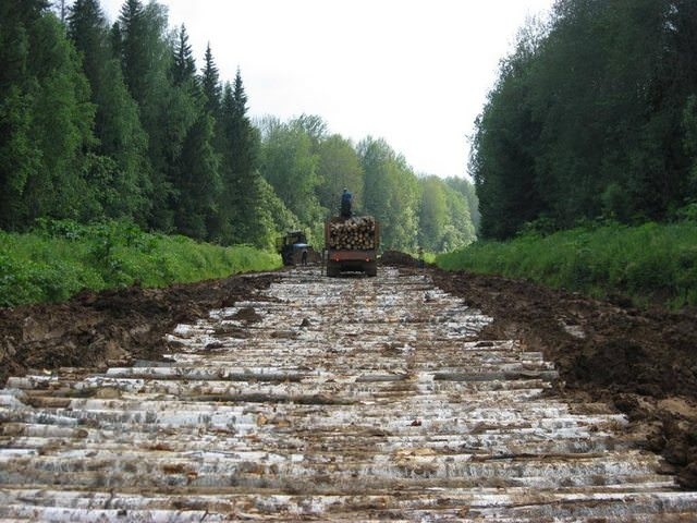 In Udmurtia, they decided to repair one of the problematic sections of the road ... with birches - Udmurtia, Russian roads, Longpost