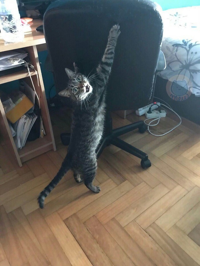 "Нашёл его в таком положении,когда пошёл проверить,почему он зовёт меня".