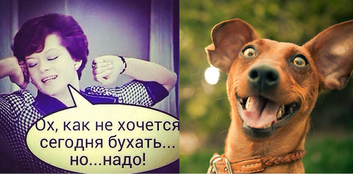 Вроде пятница...