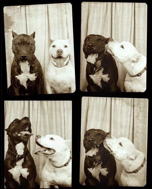 Фотокабинка.