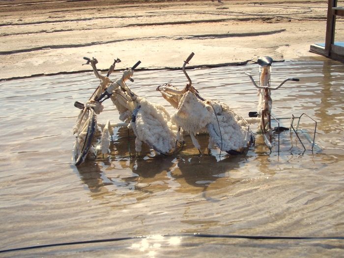 Bicycles - My, A bike, Israel, Dead Sea, Salt