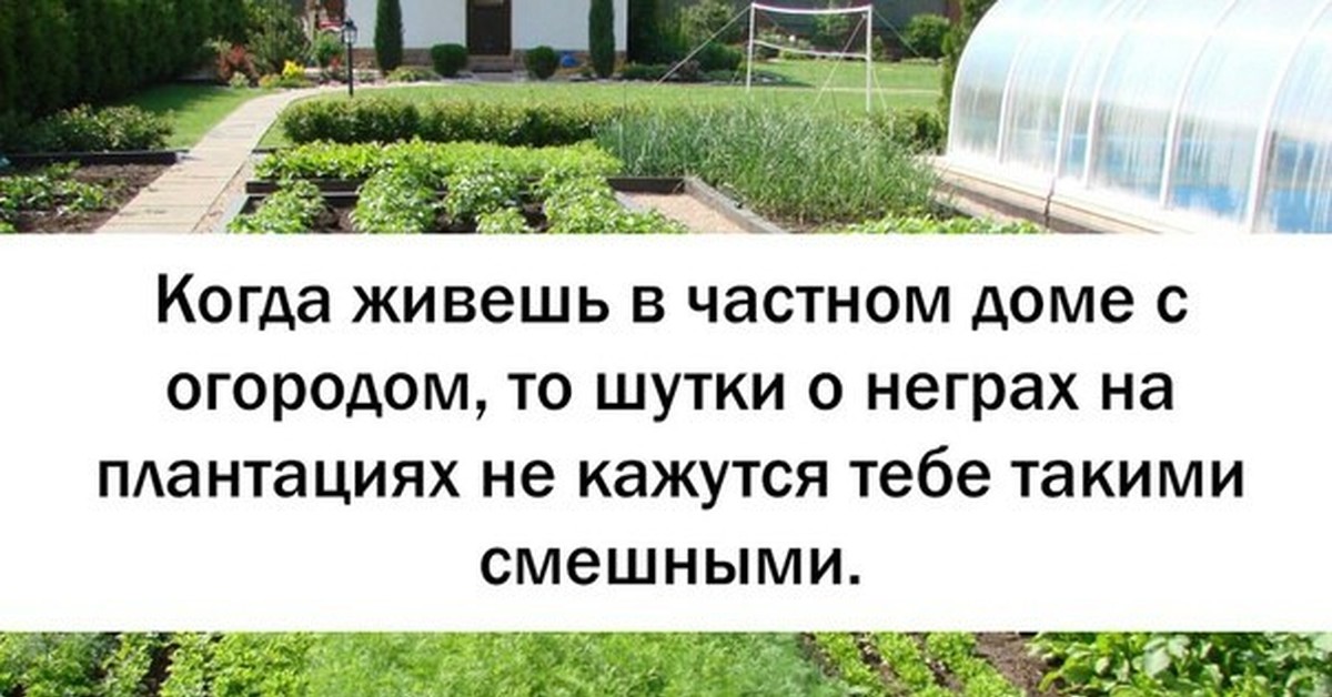 Смешные картинки про работу на даче