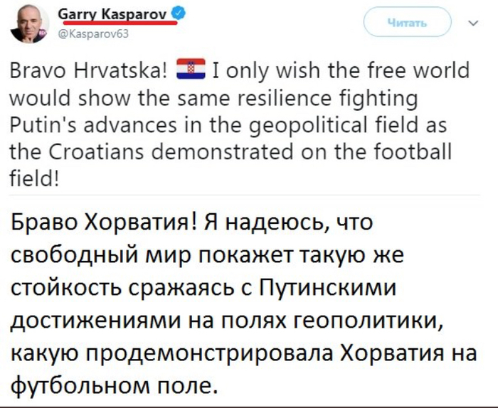 Fairy dol! oeb - 2018 FIFA World Cup, Russia, Politics, Garry Kasparov, Opposition, Football, Russian national football team, Twitter