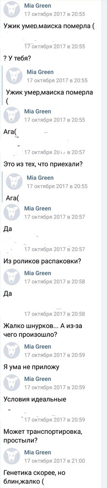 Про Тверской Экзотариум - 2 - Моё, Животные, Защита животных, Частный экзотариум, Экзотариум, Тверская область, Длиннопост, Тверь