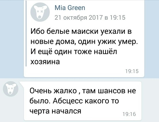 Про Тверской Экзотариум - 2 - Моё, Животные, Защита животных, Частный экзотариум, Экзотариум, Тверская область, Длиннопост, Тверь