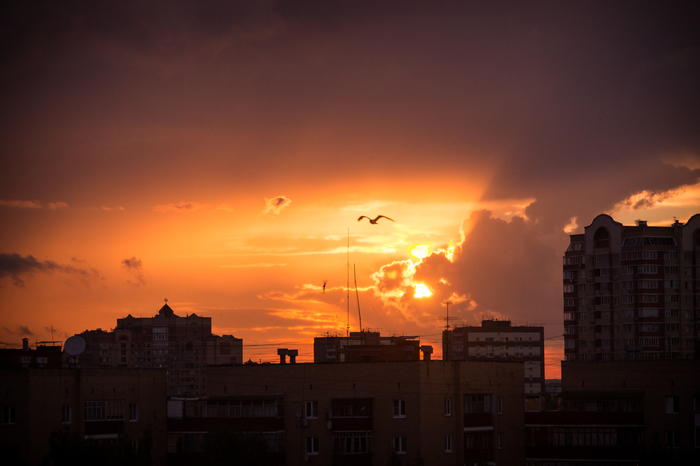 summer sunsets - My, Sunset, Moscow region, Dolgoprudny, Seagulls, The sun, Evening, Canon