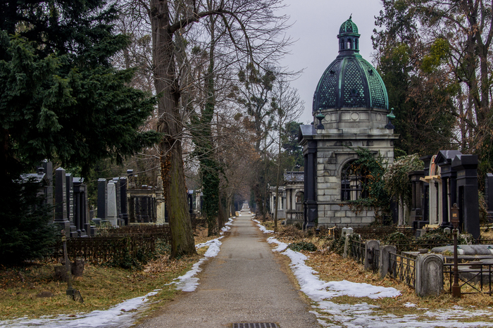 Vienna Central Cemetery - My, Travels, Vein, Cemetery, Winter, My, Canon, Longpost
