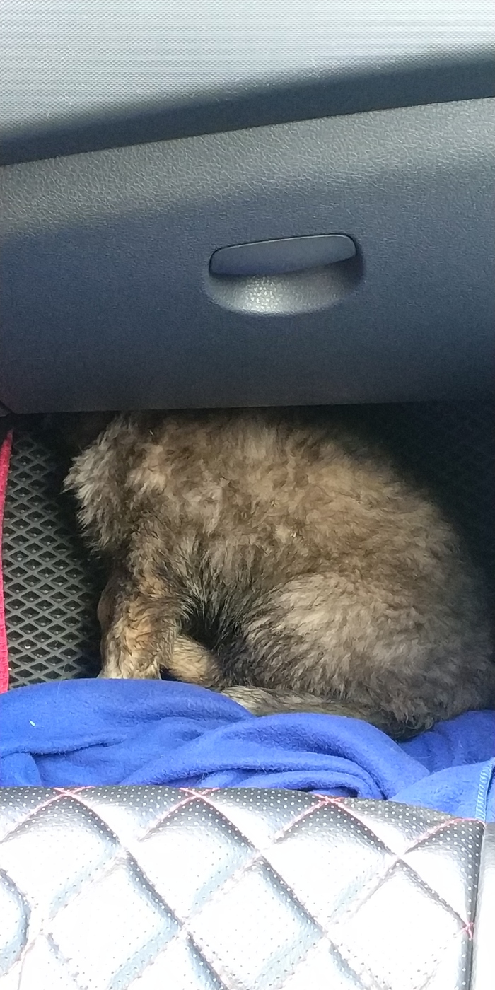 �����! [������ ���� �������]