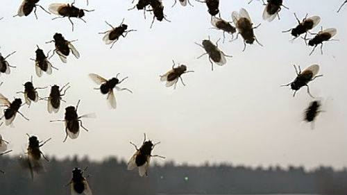 ������ ���� �����.