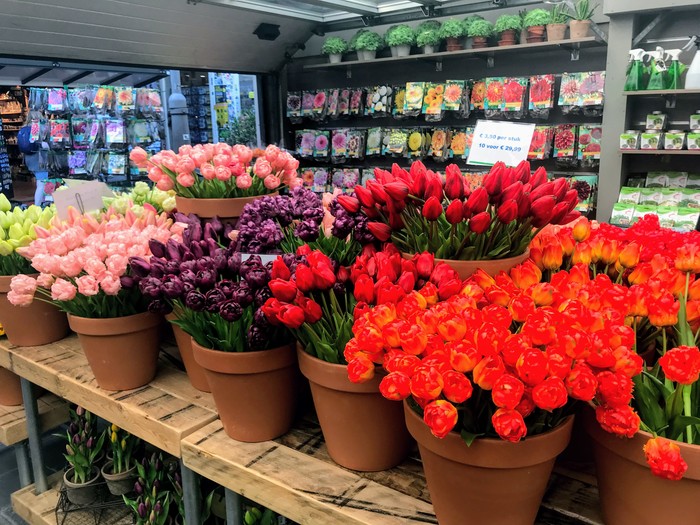 Цветочный рынок (Bloemenmarkt) в Амстердаме Амстердам, Нидерланды, Тюльпаны, Луковицы, Цветы, Рынок, Bloemenmarkt, Цветочный рынок, длиннопост