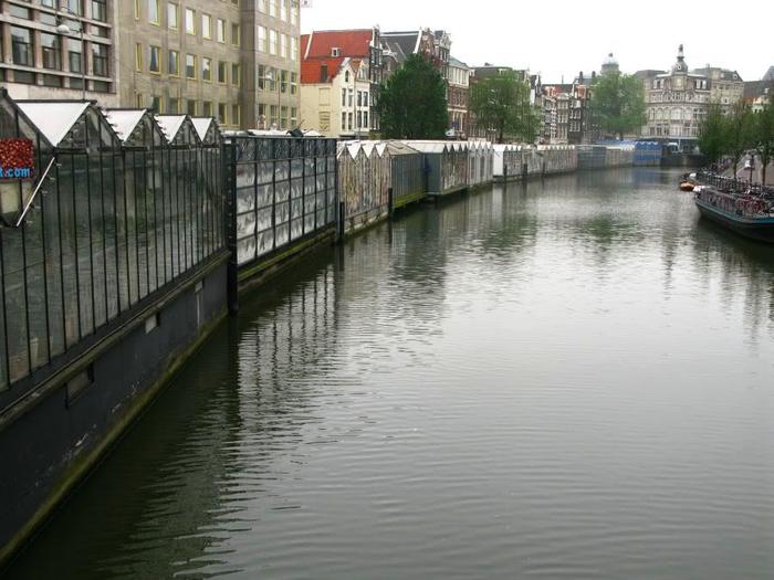 Цветочный рынок (Bloemenmarkt) в Амстердаме Амстердам, Нидерланды, Тюльпаны, Луковицы, Цветы, Рынок, Bloemenmarkt, Цветочный рынок, длиннопост