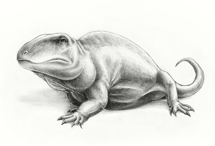 We draw animal lizards and the like - My, Paleontology, Paleoart, Drawing, Pencil drawing, Synapsids, Self-taught, Informative, Longpost