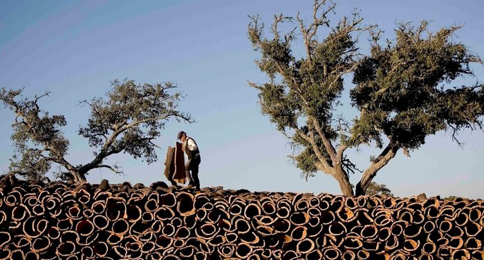 Рандомная География. Часть 87. Португалия. География, Интересное, путешествия, рандомная география, длиннопост