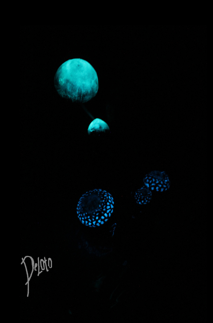 "Кусочек Горького берега" ( по мотивам TES III: Morrowind") The Elder Scrolls III: Morrowind, The Elder Scrolls, Deloto, Длиннопост