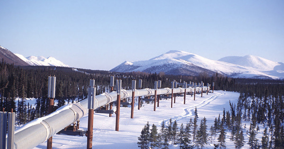 Alaskan Pipeline Condom