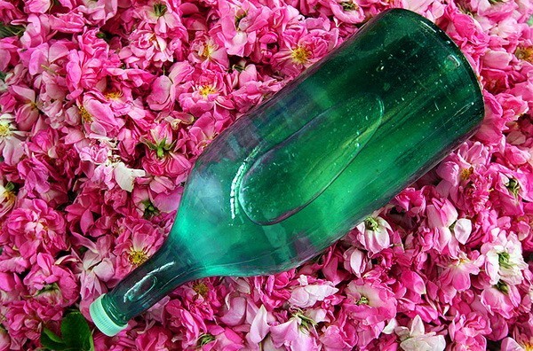 Golab - rose water - Perfumery, Perfume, the Rose, , Recipe, Instructions, Cooking, Longpost, Water