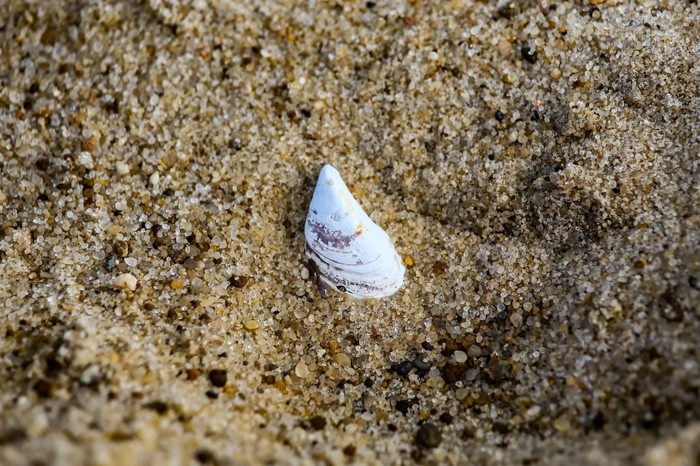 Мир под ногами фотография, длиннопост, Природа