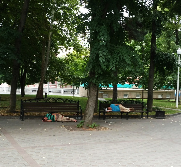 It was getting dark - My, Dream, Bench, Evening