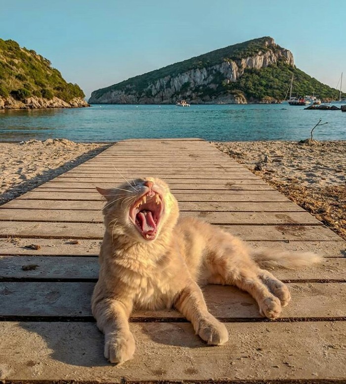 ������ �����������? � �����!