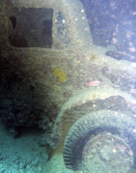 The pearl of the underwater world of the Red Sea - the underwater museum of the Second World War - My, Diving, Red sea, Egypt, Enthusiasm, Vacation, , Sunken ships, Longpost