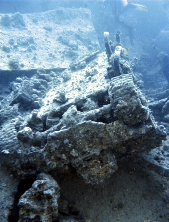 The pearl of the underwater world of the Red Sea - the underwater museum of the Second World War - My, Diving, Red sea, Egypt, Enthusiasm, Vacation, , Sunken ships, Longpost