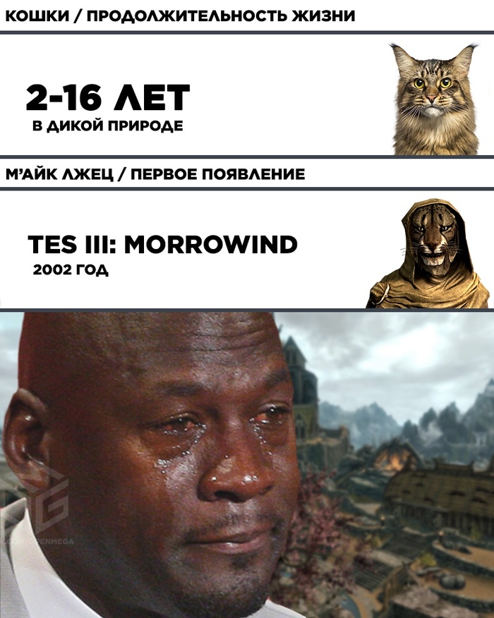 Sad news from Morrowind - My, Games, Game humor, Khajiit, The Elder Scrolls III: Morrowind, The elder scrolls, Skyrim