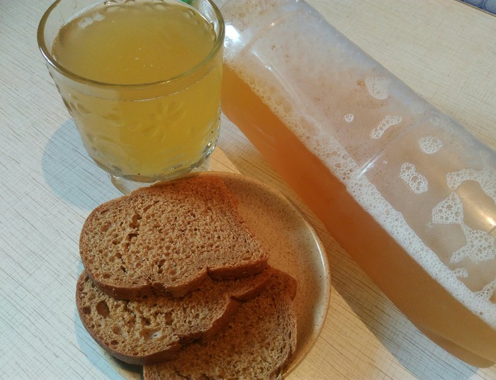 Kvass Home Vigorous and Tasty Bread Kvass - My, Recipe, Video, Longpost, Kvass, Video recipe, Beverages