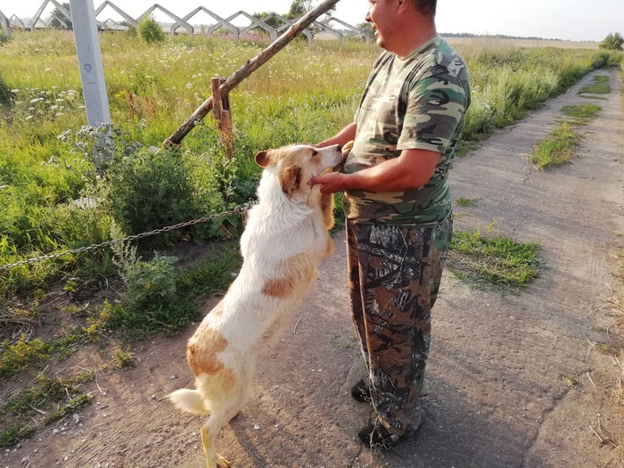 Animal shelter Chance. - My, Animal shelter, Help, Longpost, Kindness, Compassion, Sasovo, Ryazan Oblast