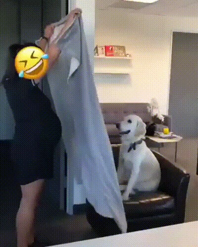Эмм... и что?