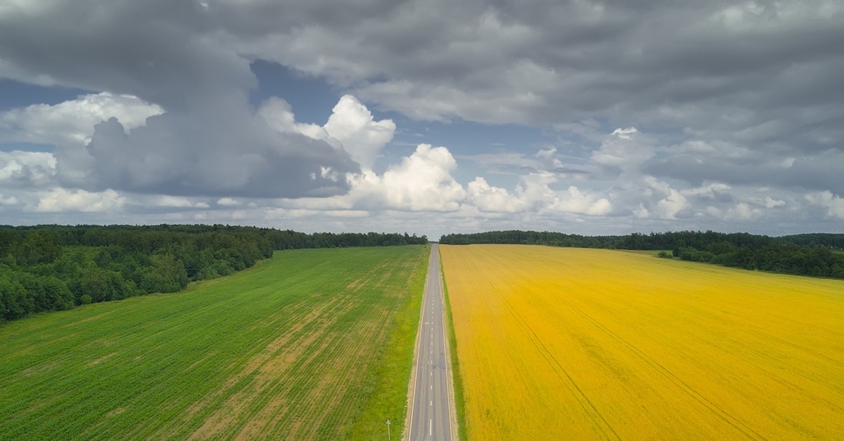 Перфекционизм в картинках