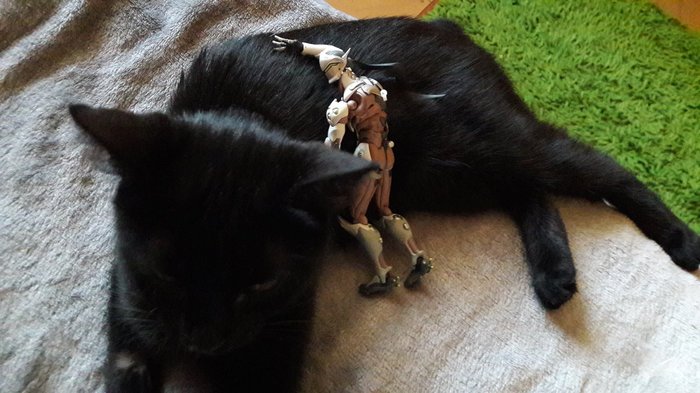 Genji meets a cat - cat, Longpost, Genji, Overwatch