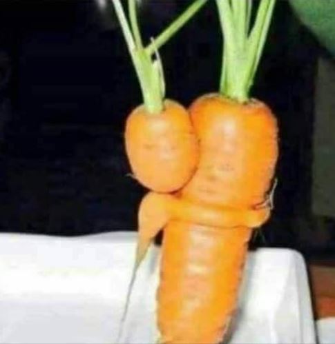 Unique photo! A little carrot hugs mom a minute before being eaten by an angry and hungry vegan. - Vegan, Vegetables, Vital, Trash, Trash
