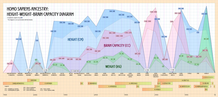 Pedigree of Homo Sapiens v.2 (in English) - My, Human Origins, Infographics, Hominids, Diagram, Evolution