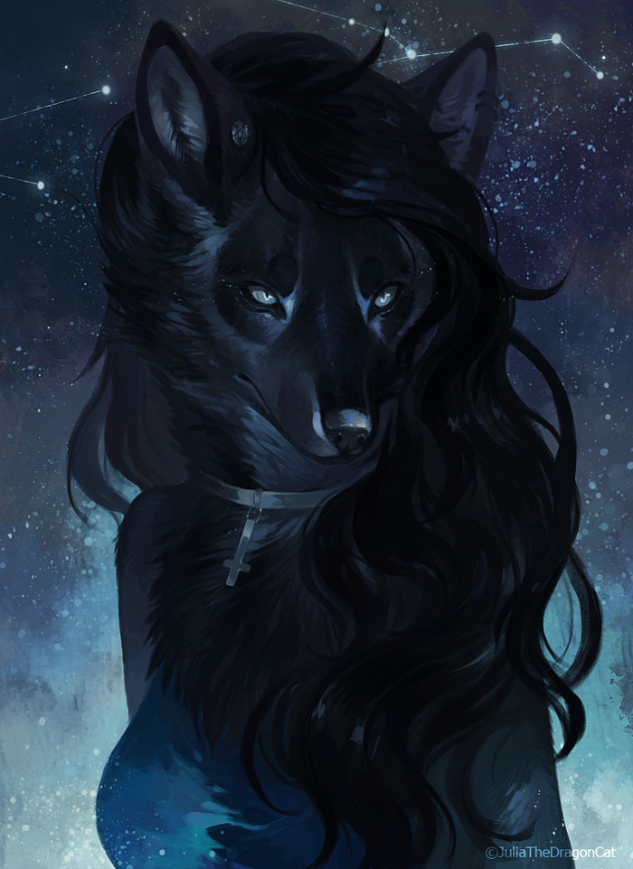 .:Black Fox:. - Furry, Art, Portrait, Juliathedragoncat, Fox