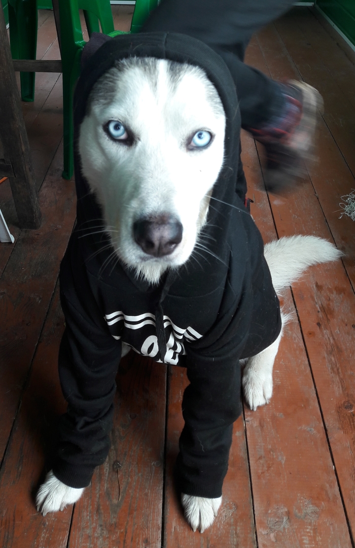 ����� �� ����