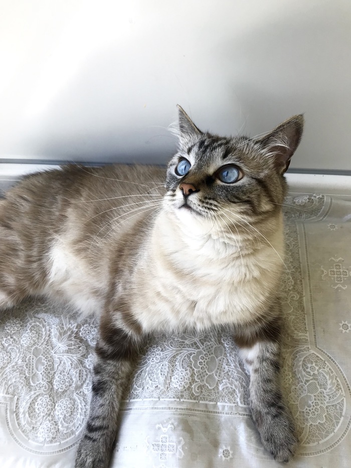 ������������