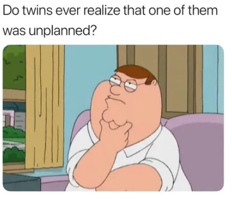 Do the twins realize that one of them is unplanned? - Family guy, Translation, Twins, 9GAG