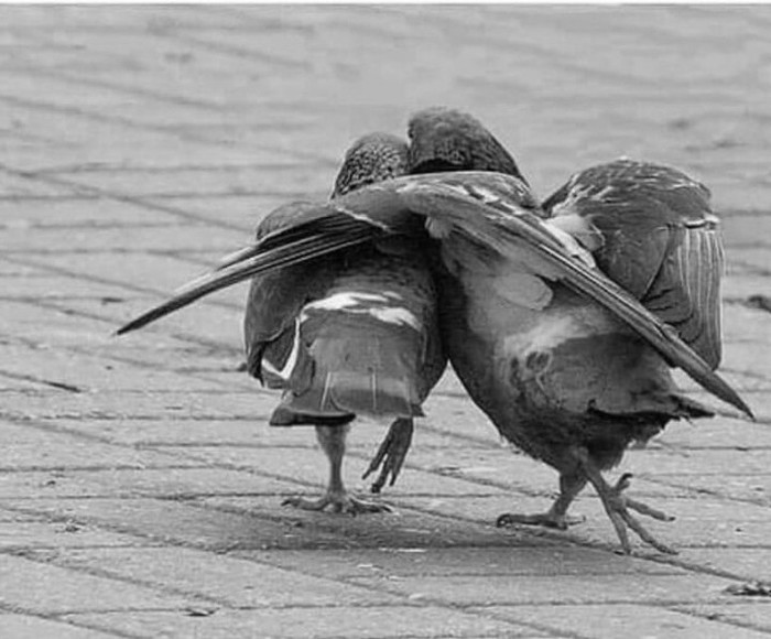 ������,� ���� � ��� :-}