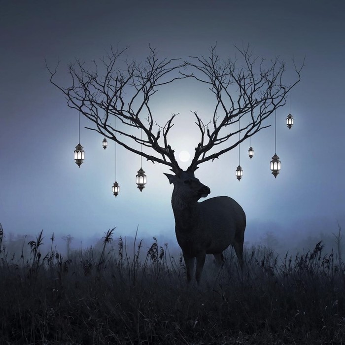 Нереальная реальность фотография, фотошоп мастер, сюрреализм, длиннопост