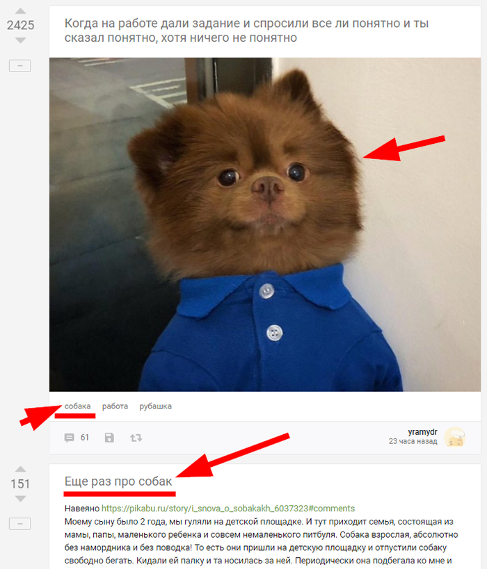   ,  ?   , ,  